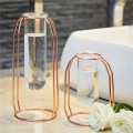 Rose Gold Metal Stand Clear Glass Tube Vases